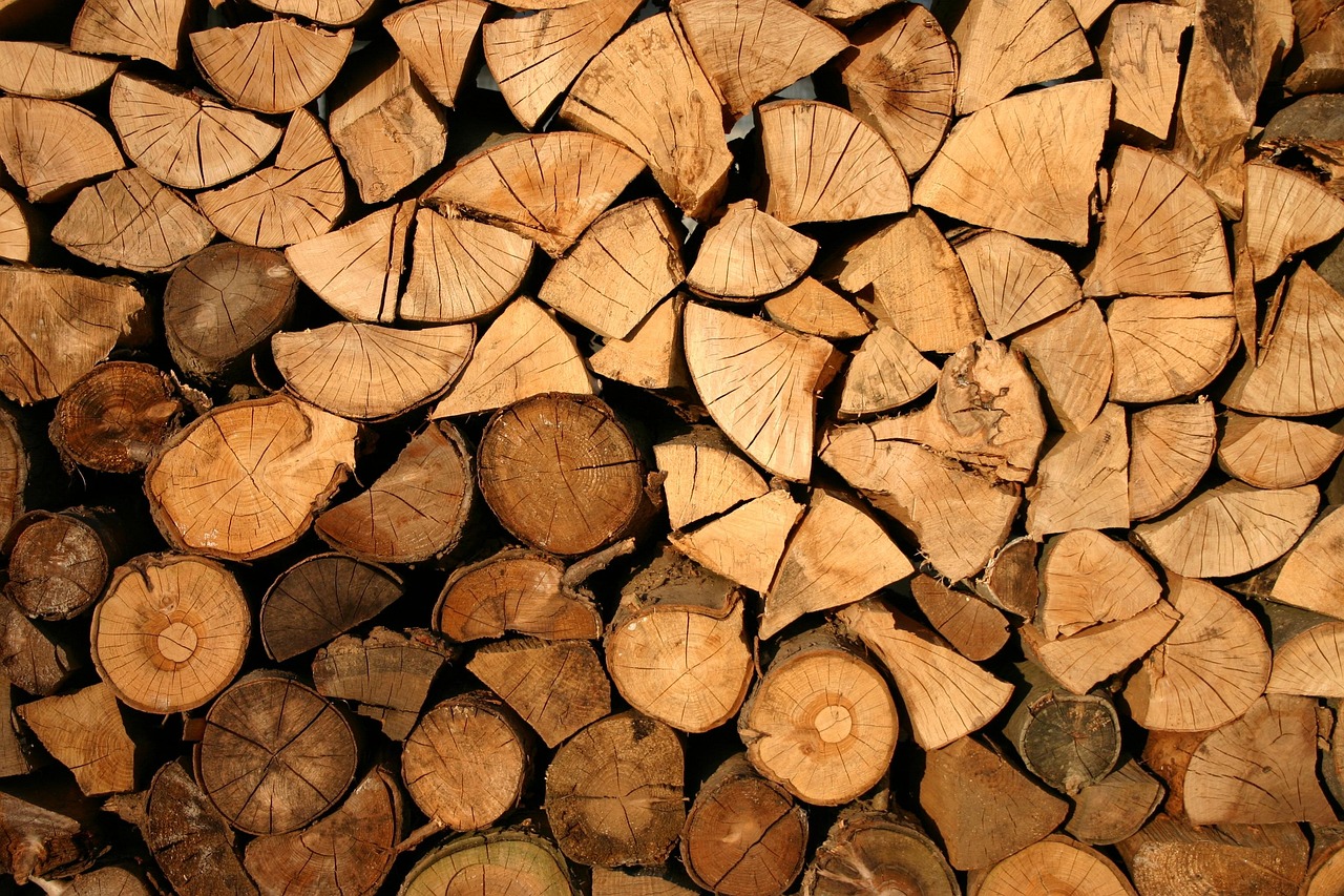 Dense tropical hardwood logs, the raw material behind premium charcoal