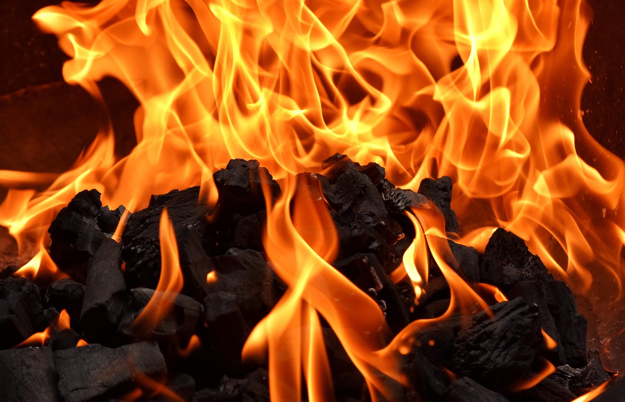 Close detail of charcoal structure, where density shows