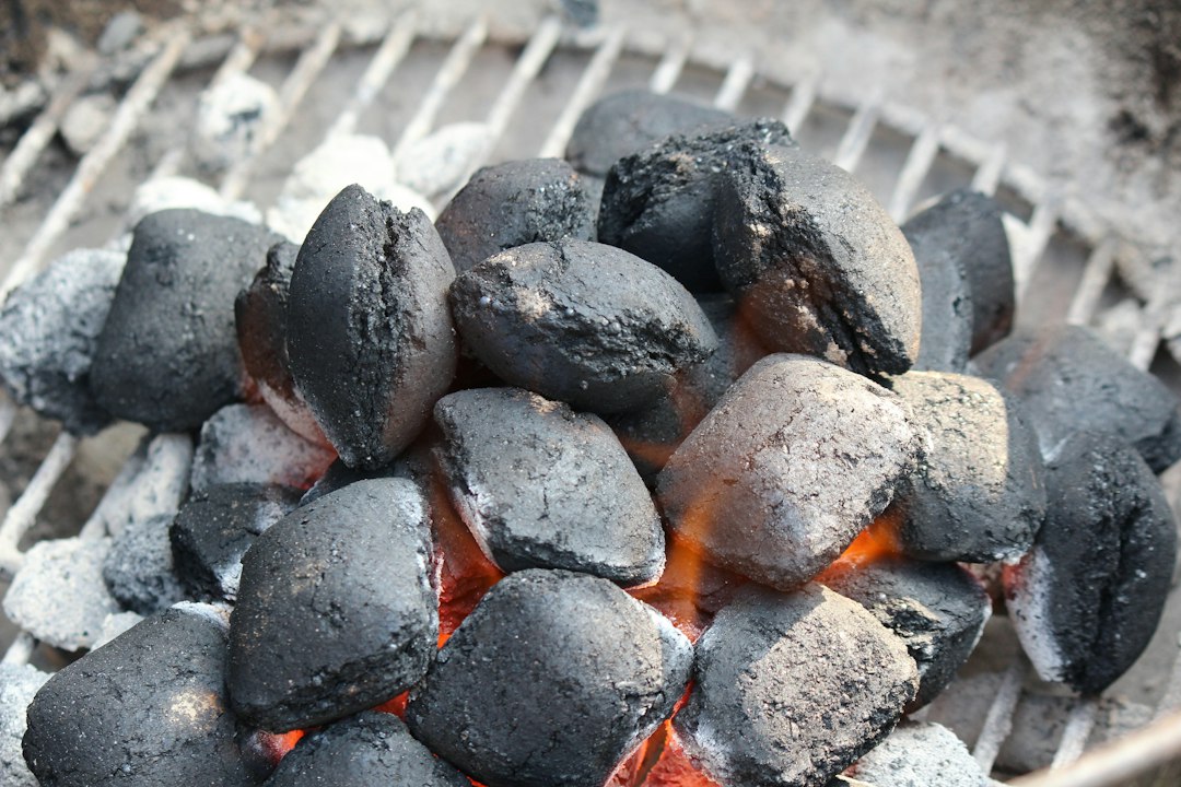 Close detail of charcoal structure, where density shows