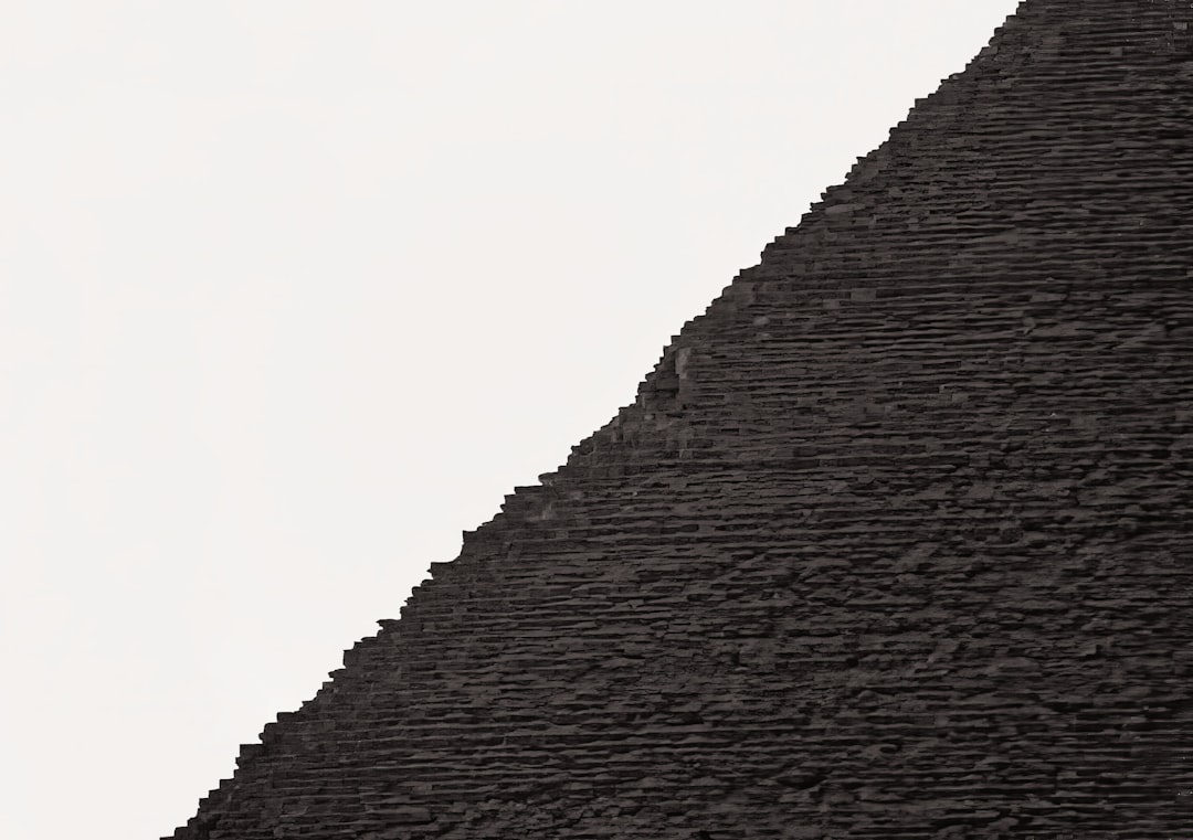 White binchotan charcoal sticks graded for restaurant use — Binchotan Charcoal Price: What Drives the Cost per Kilo