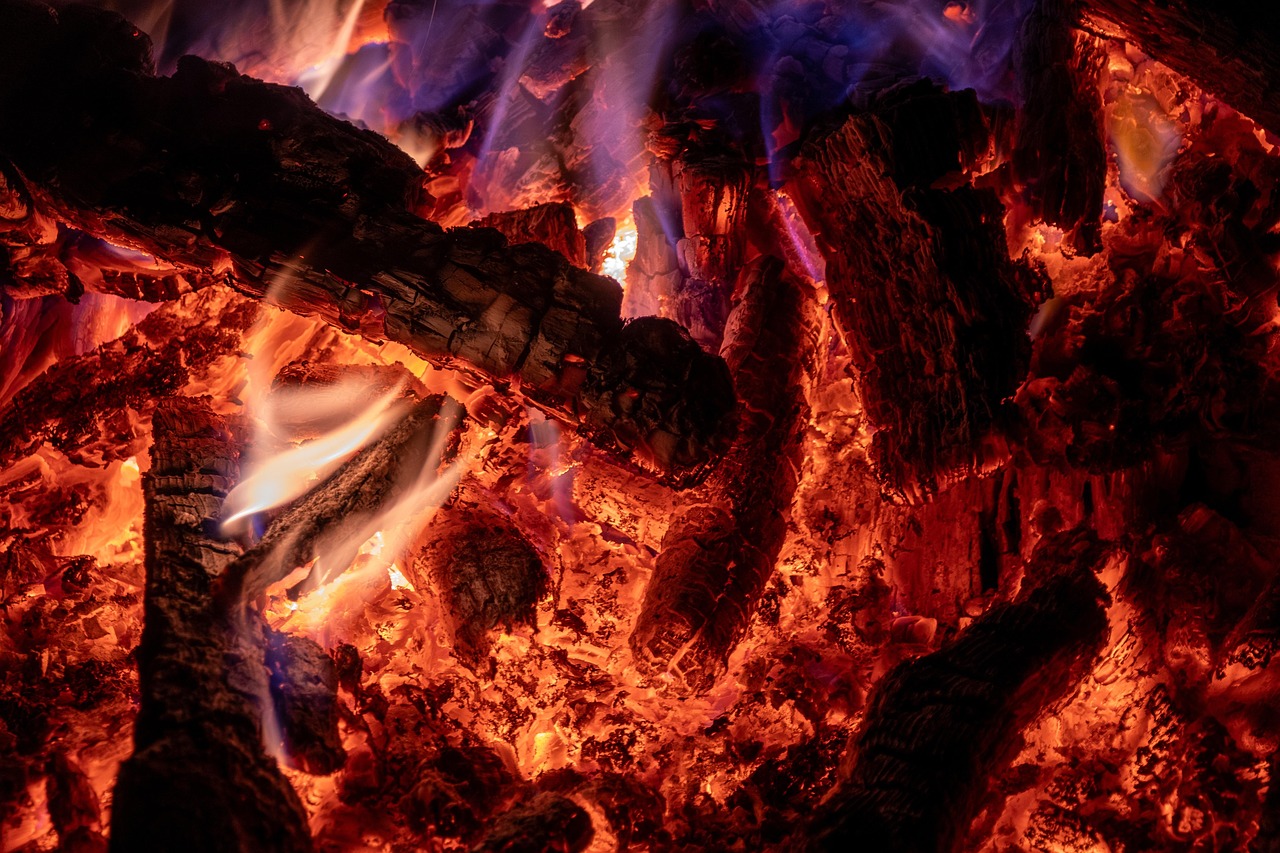 White binchotan charcoal sticks graded for restaurant use