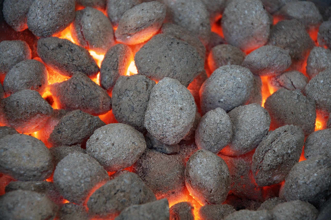 Close detail of charcoal structure, where density shows