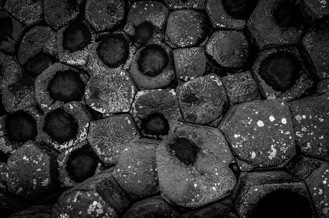 Close detail of charcoal structure, where density shows