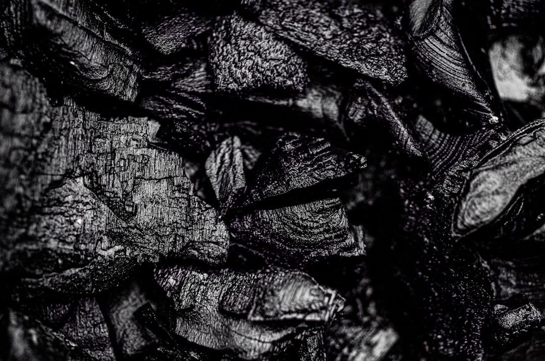Close detail of charcoal structure, where density shows — Hardwood Lump Charcoal Grades Explained