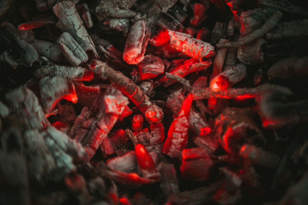 Close detail of charcoal structure, where density shows
