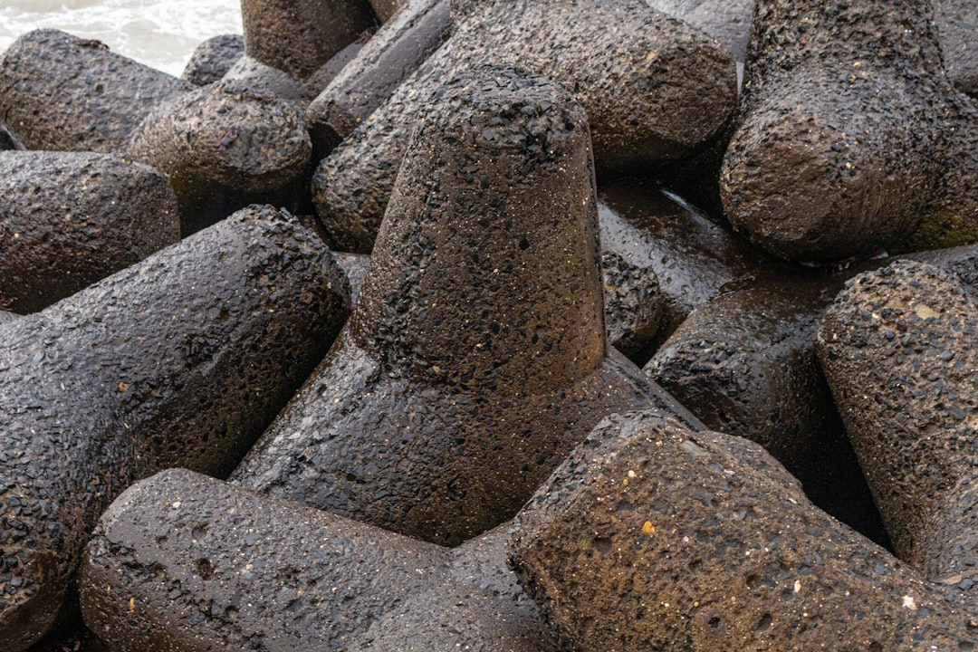Close detail of charcoal structure, where density shows