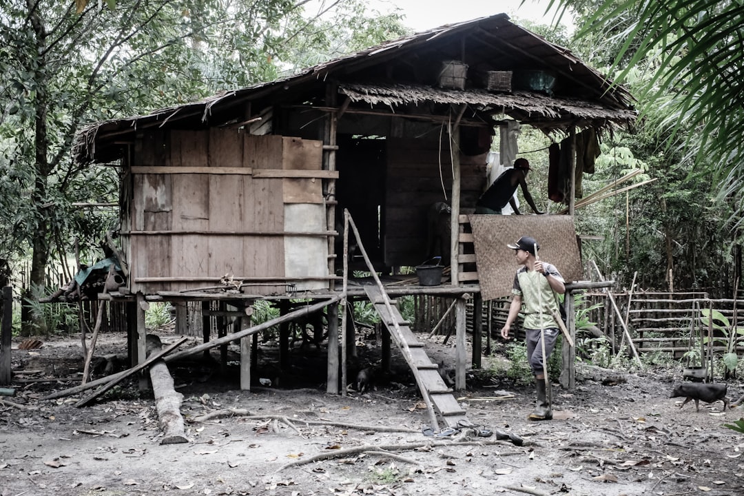 Traditional earth kiln carbonising hardwood at the factory