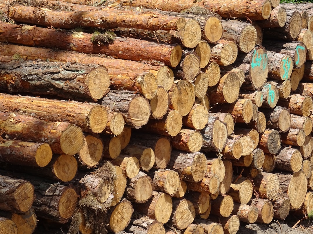 Dense tropical hardwood logs, the raw material behind premium charcoal — How Long Does Charcoal Burn? Burn Times by Charcoal Type
