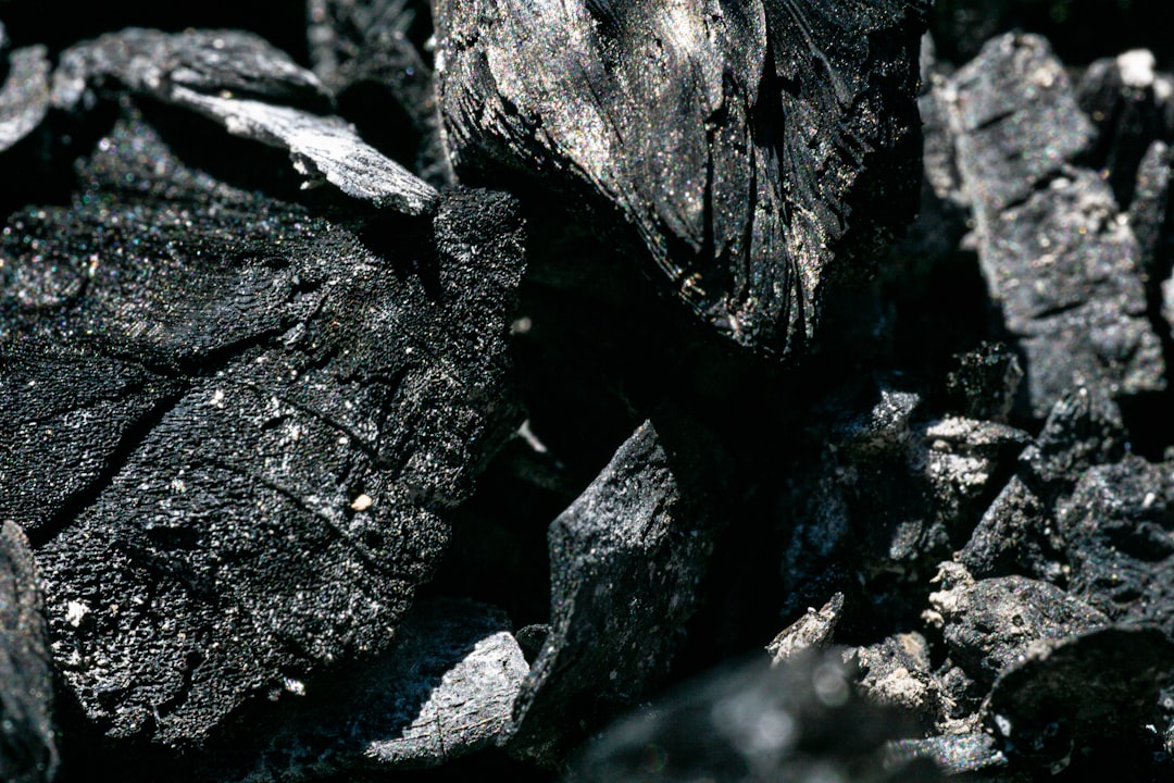 Dense lump charcoal pieces, where weight per piece signals the density a low and slow cook needs
