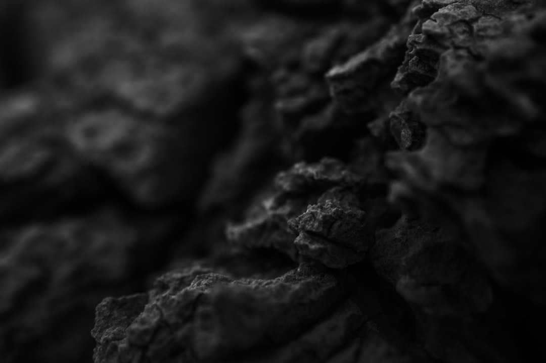Dense, hard carbon: the structure that makes binchotan impossible to light with a match