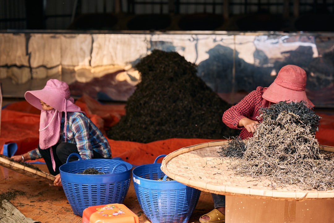 Inside a working charcoal factory, the production floor a private label brand should audit before ordering
