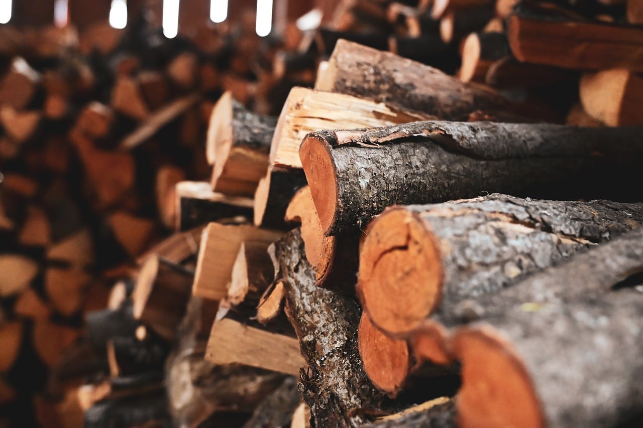 Dense tropical hardwood logs, the raw material behind premium charcoal