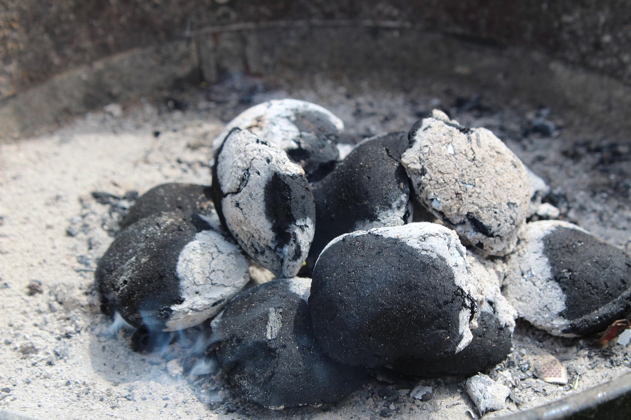 Close detail of charcoal structure, where density shows