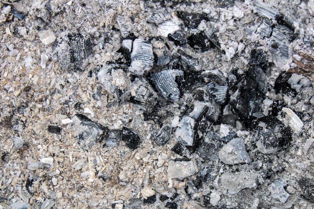 White binchotan charcoal sticks graded for restaurant use — Japanese Charcoal: Types, Grades, and Uses