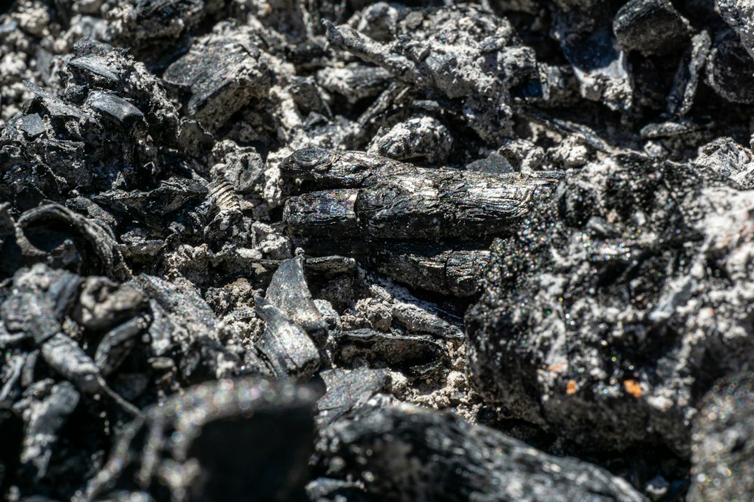 Close detail of charcoal structure, where density shows