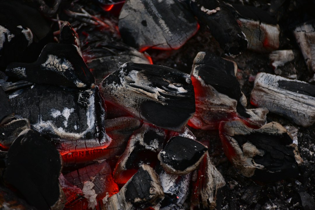 Close detail of charcoal structure, where density shows