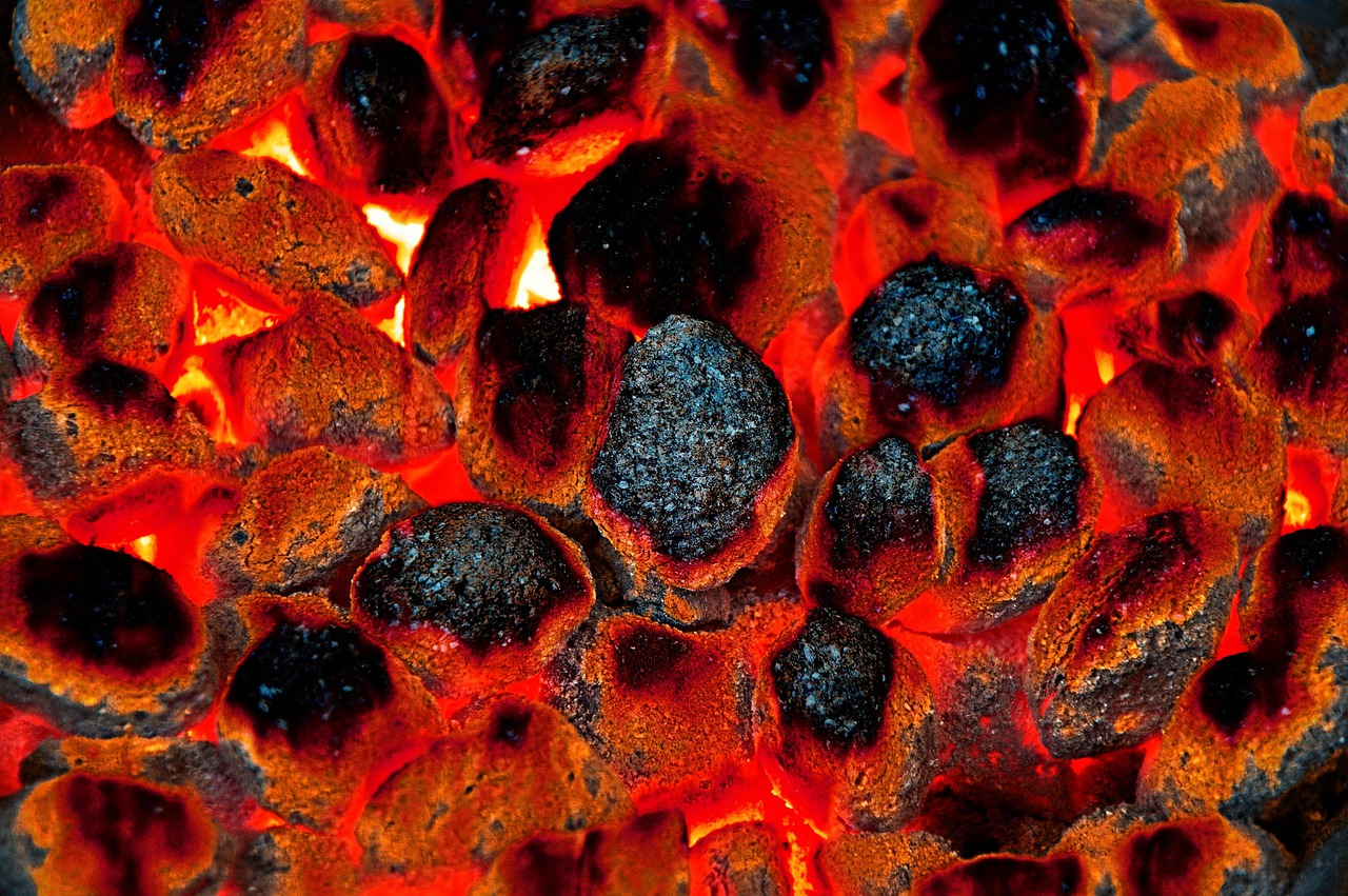 Close detail of charcoal structure, where density shows
