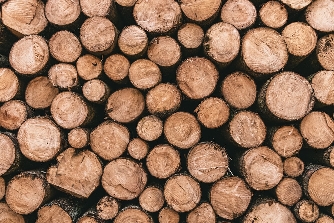 Cut logs stacked in a yard, where the density of the wood decides the density of the charcoal