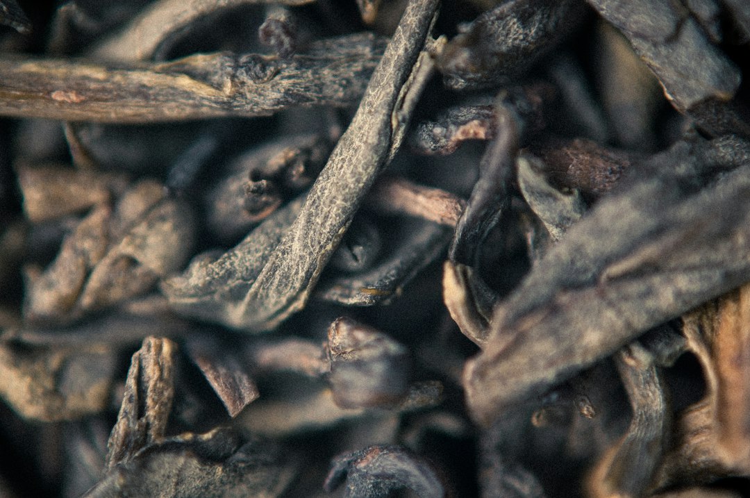 White binchotan charcoal sticks graded for restaurant use