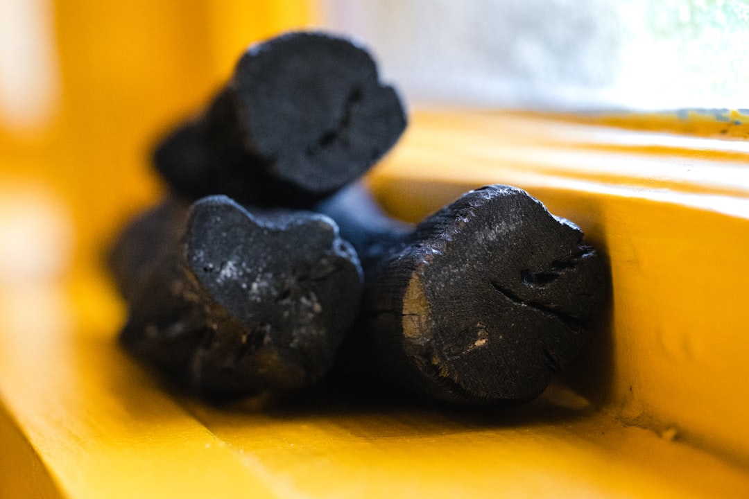 Reading the coal: length, density, and a clean break are what restaurant buyers check