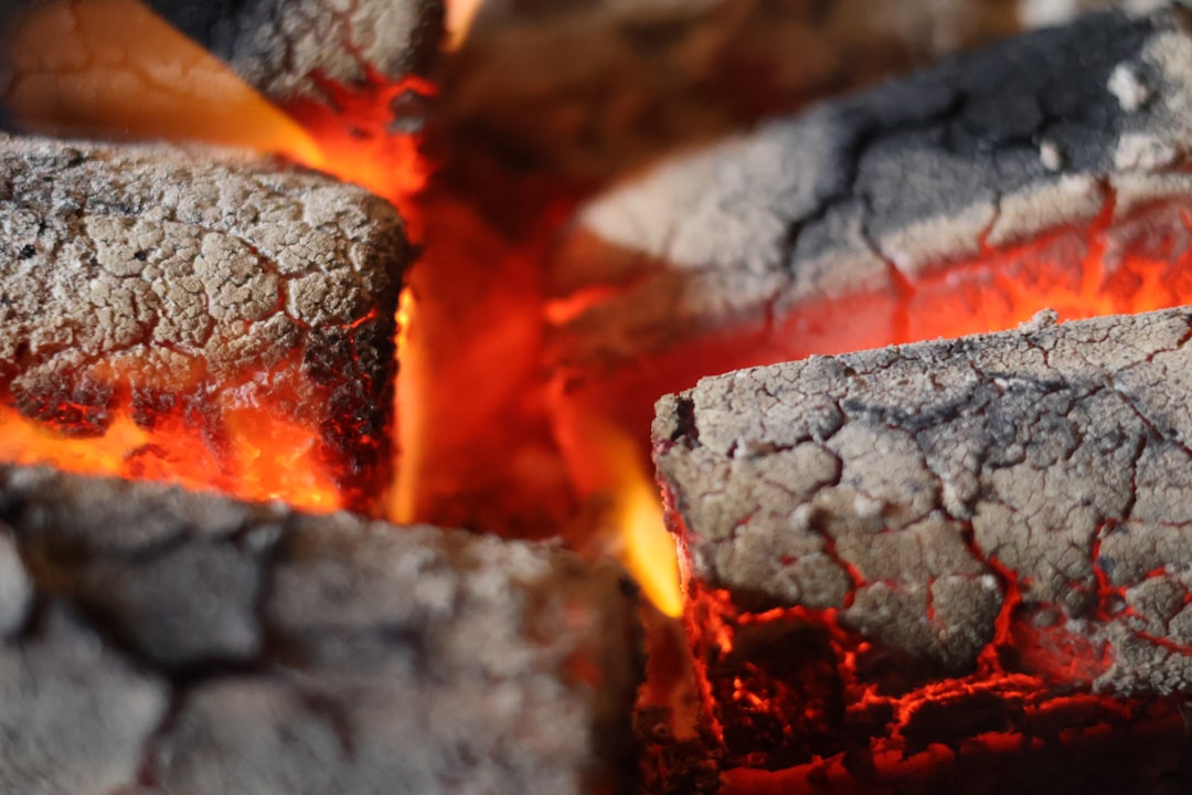 Close detail of charcoal structure, where density shows