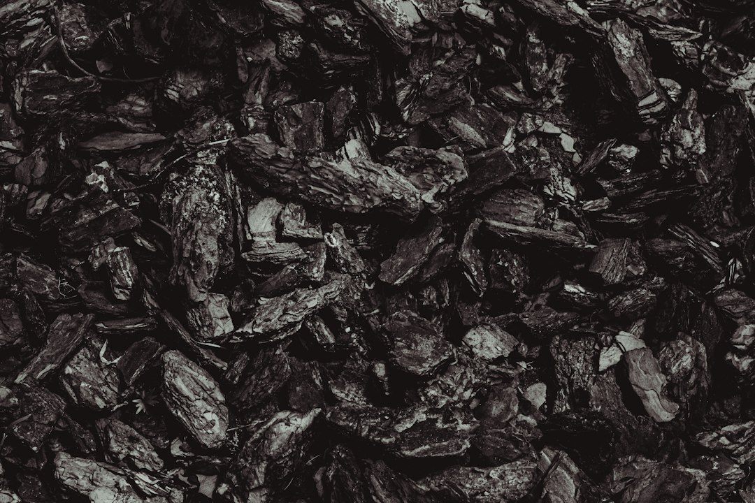 White binchotan charcoal sticks graded for restaurant use